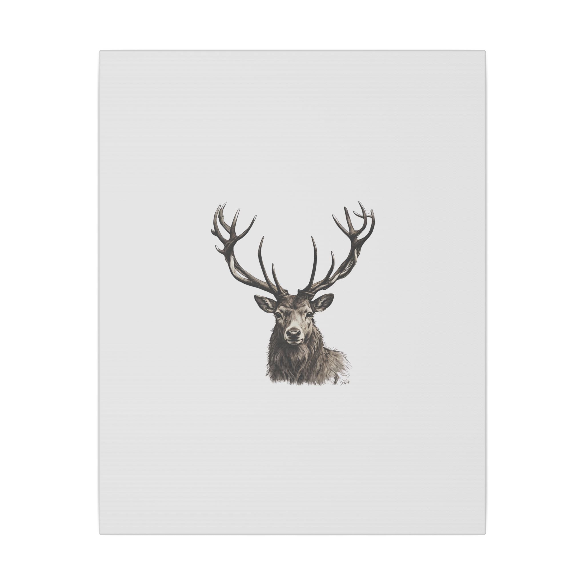 Stag Matte Canvas