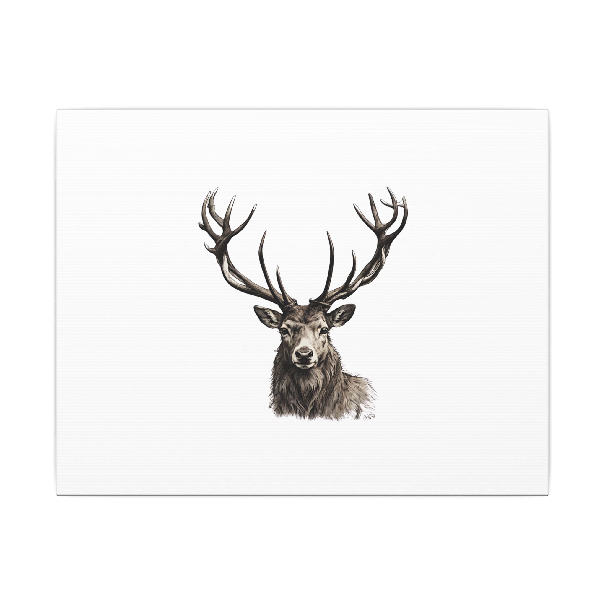 Stag Matte Canvas