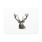 Stag Matte Canvas