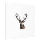 Stag Matte Canvas