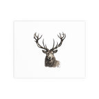 Stag Silk Poster