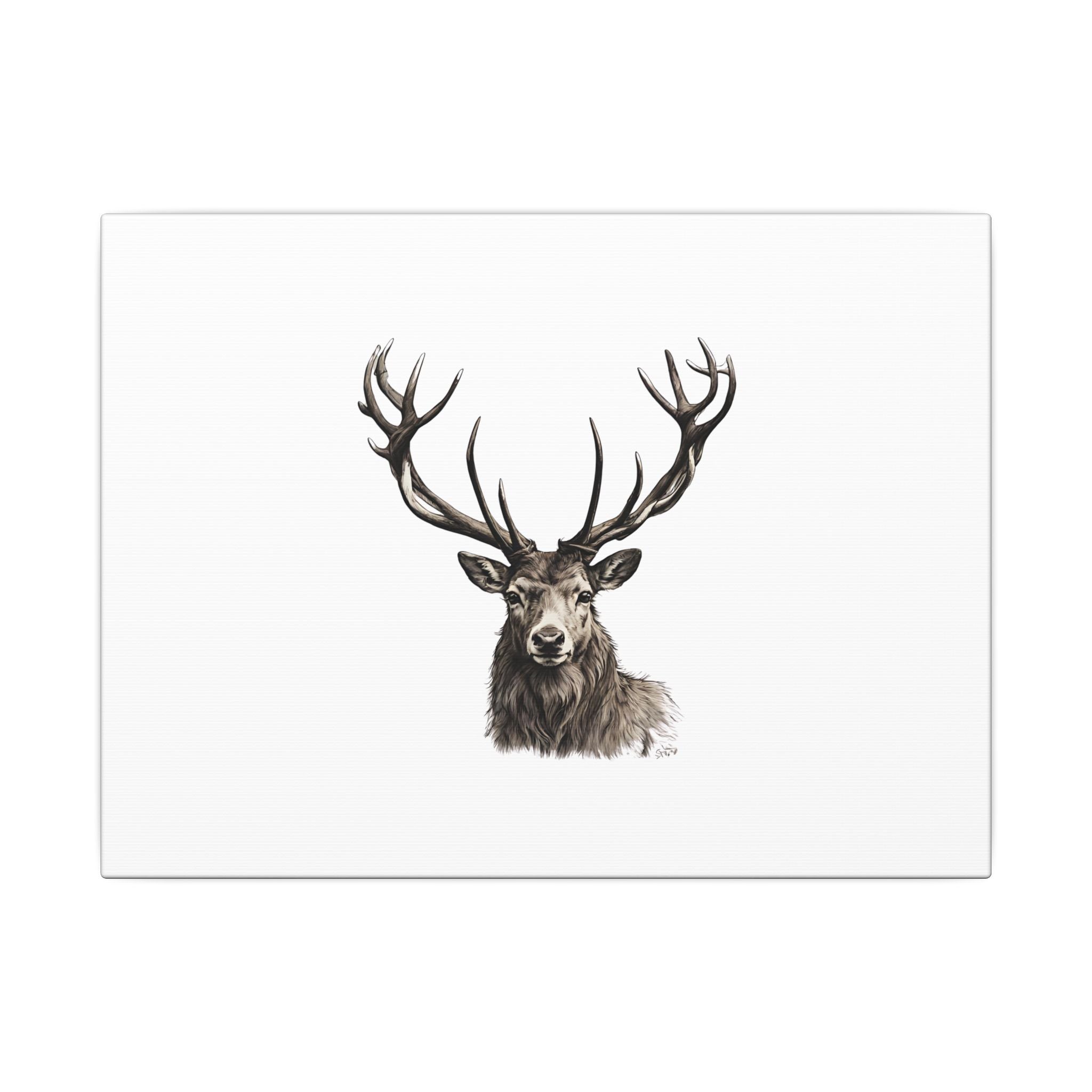 Stag Matte Canvas