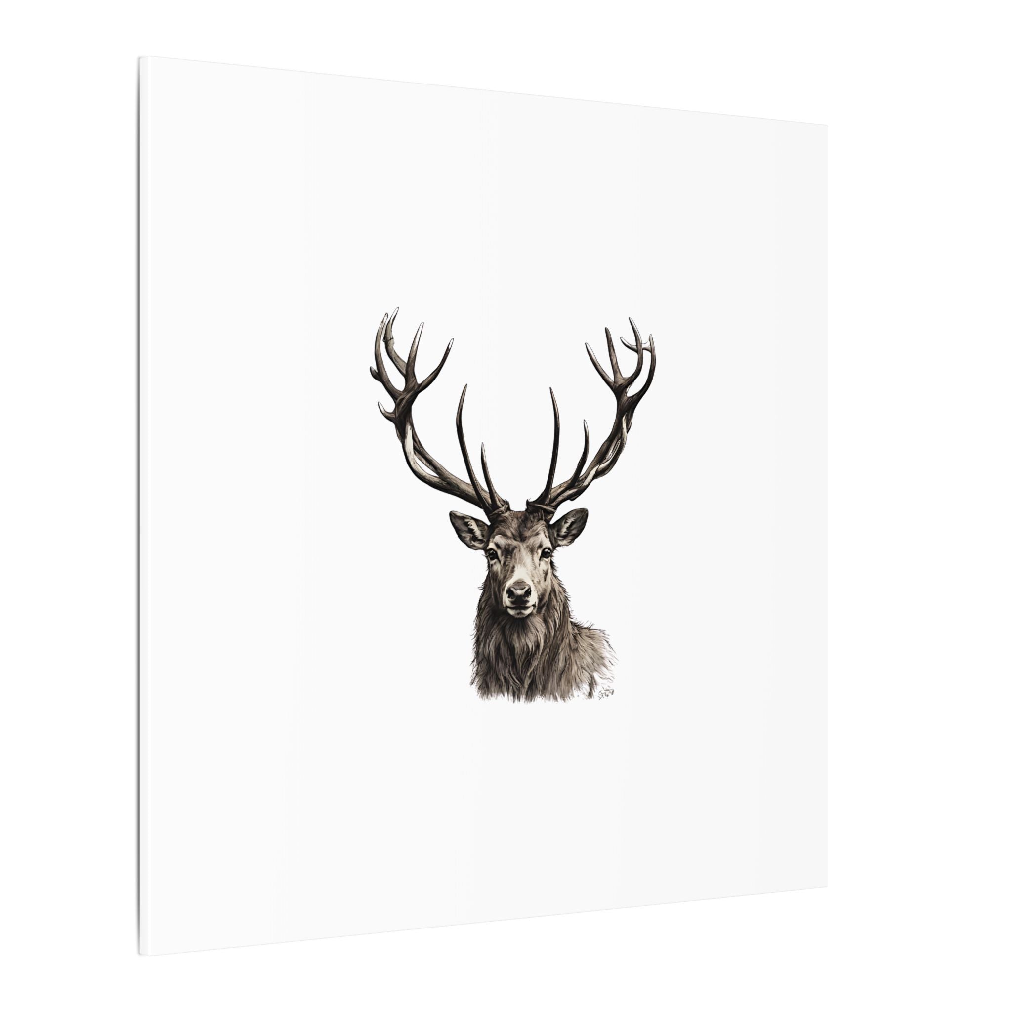 Stag Matte Canvas