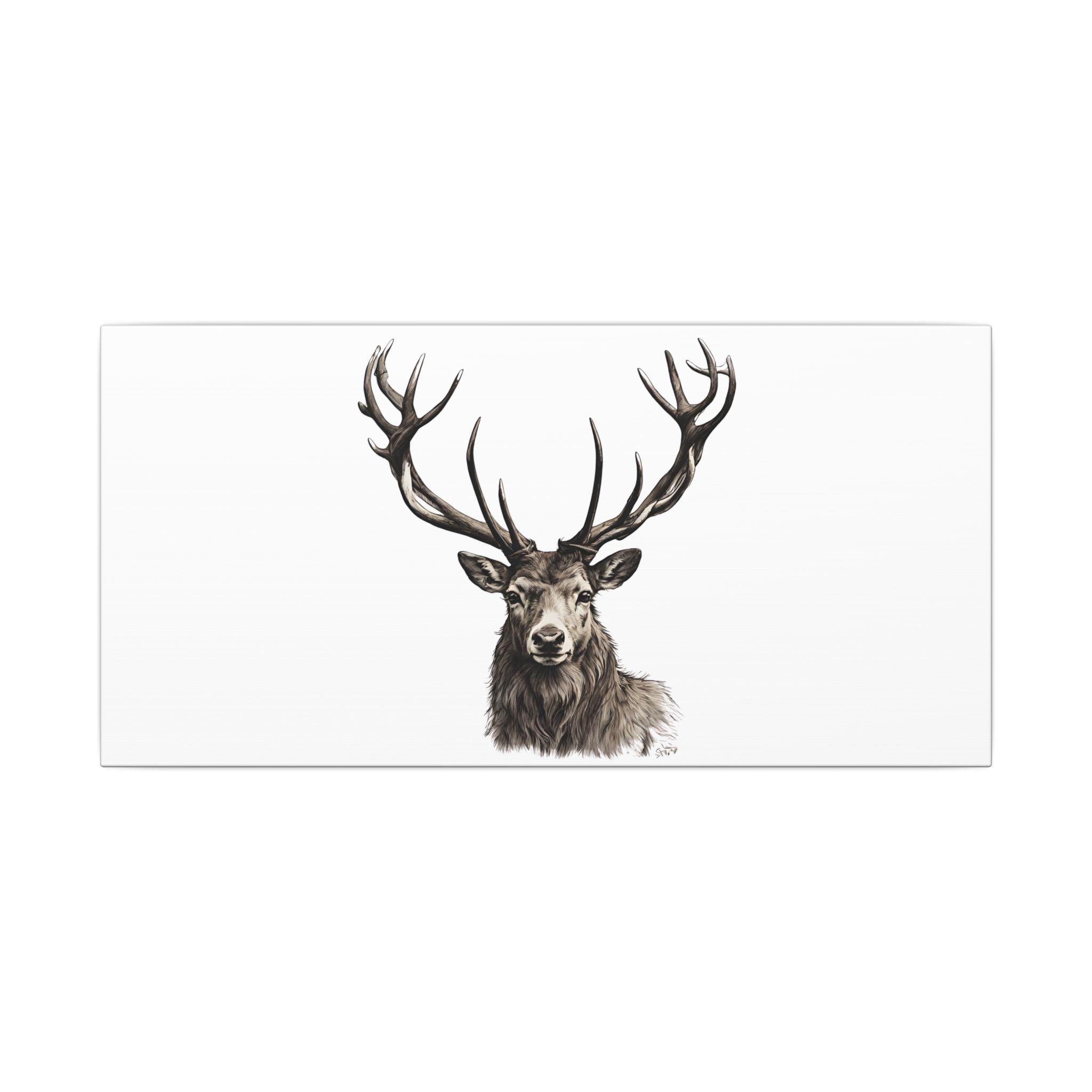 Stag Matte Canvas