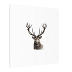 Stag Matte Canvas