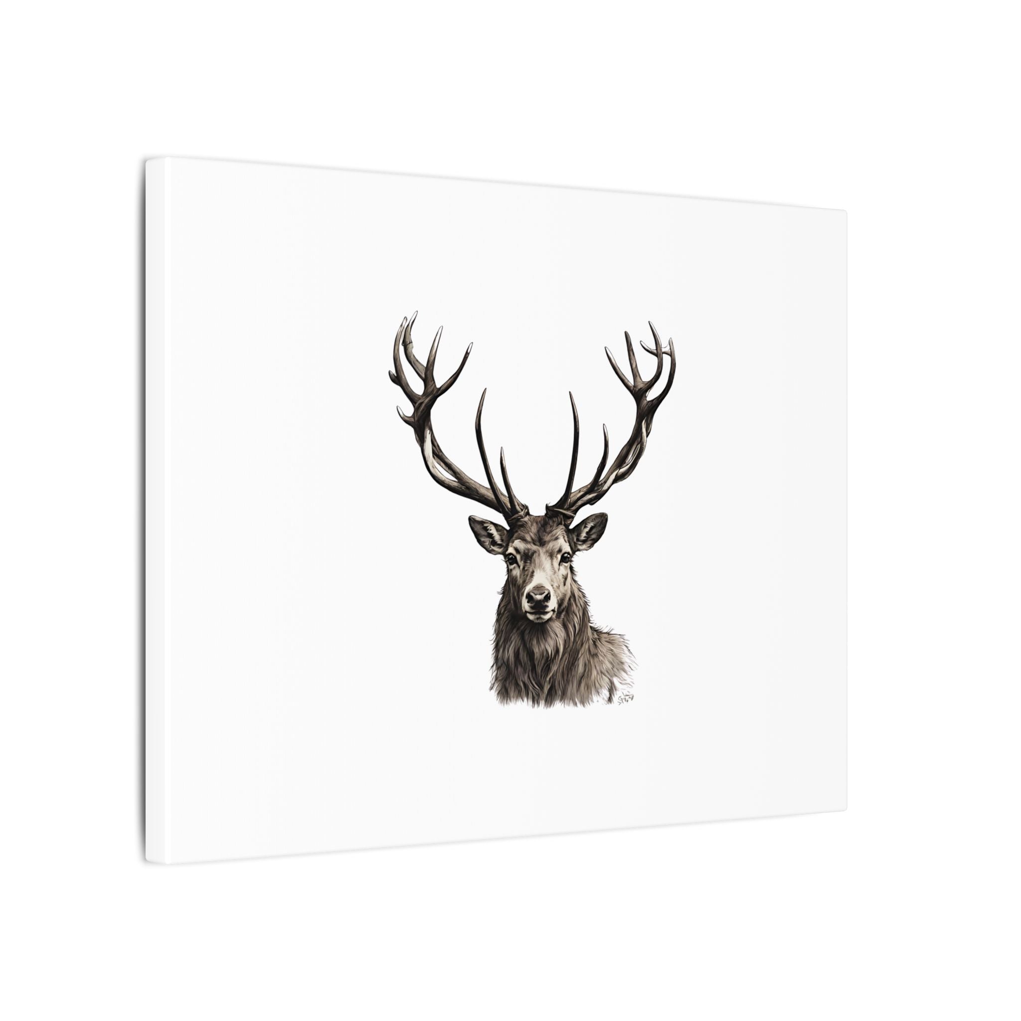 Stag Matte Canvas