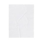 I Wet My Plants Velveteen Plush Blanket | Plant Parent Pun, Sage Cream Botanical Humor