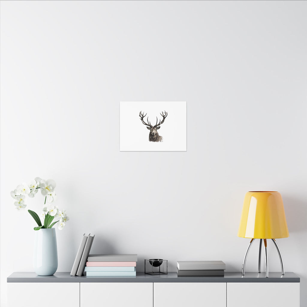 Stag Matte Canvas