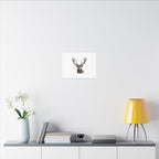 Stag Matte Canvas
