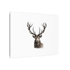 Stag Matte Canvas