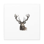 Stag Matte Canvas