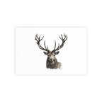 Stag Silk Poster