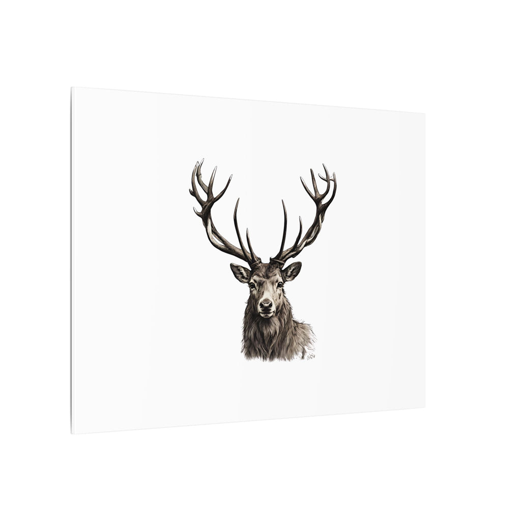 Stag Matte Canvas