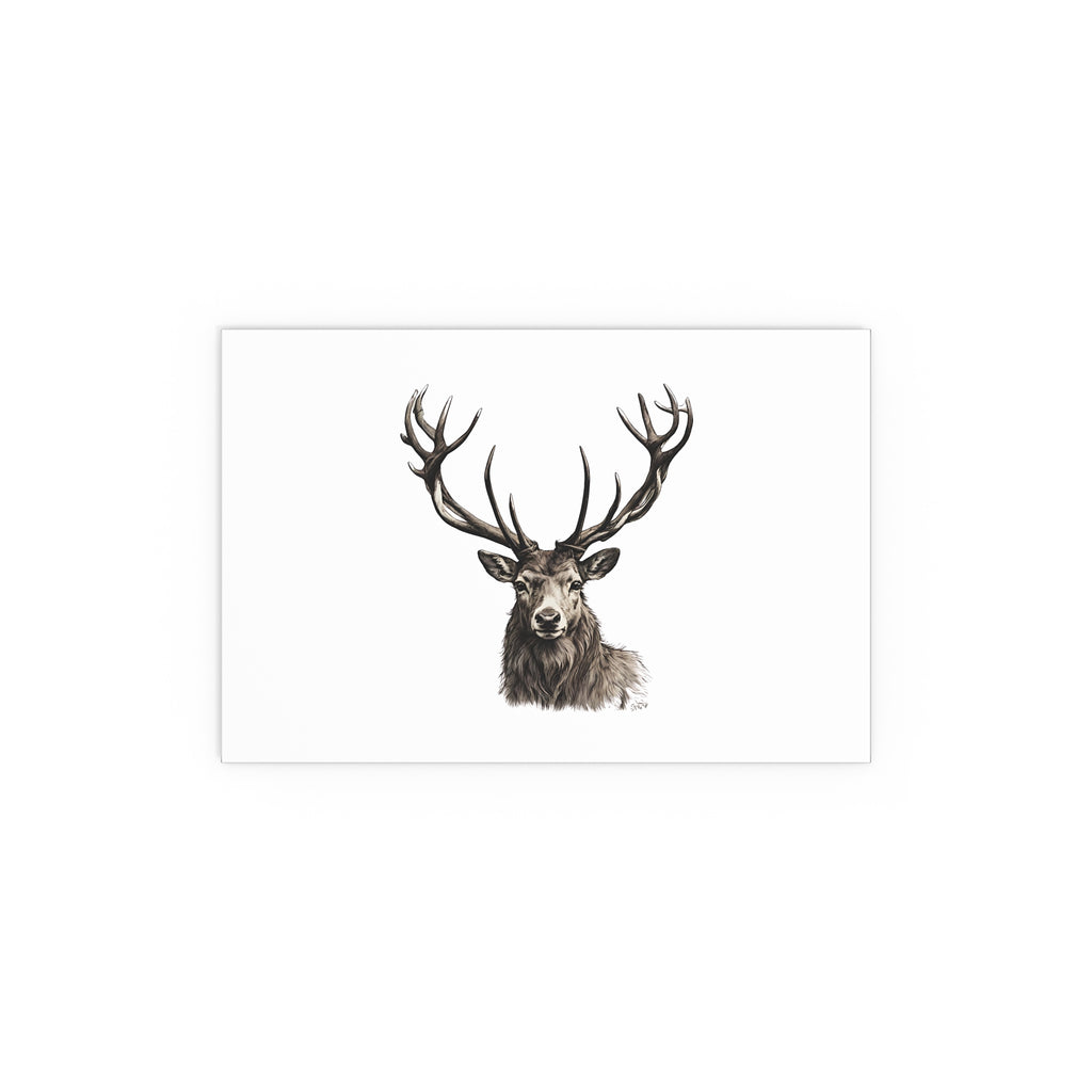 Stag Silk Poster