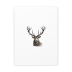 Stag Matte Canvas