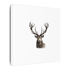 Stag Matte Canvas
