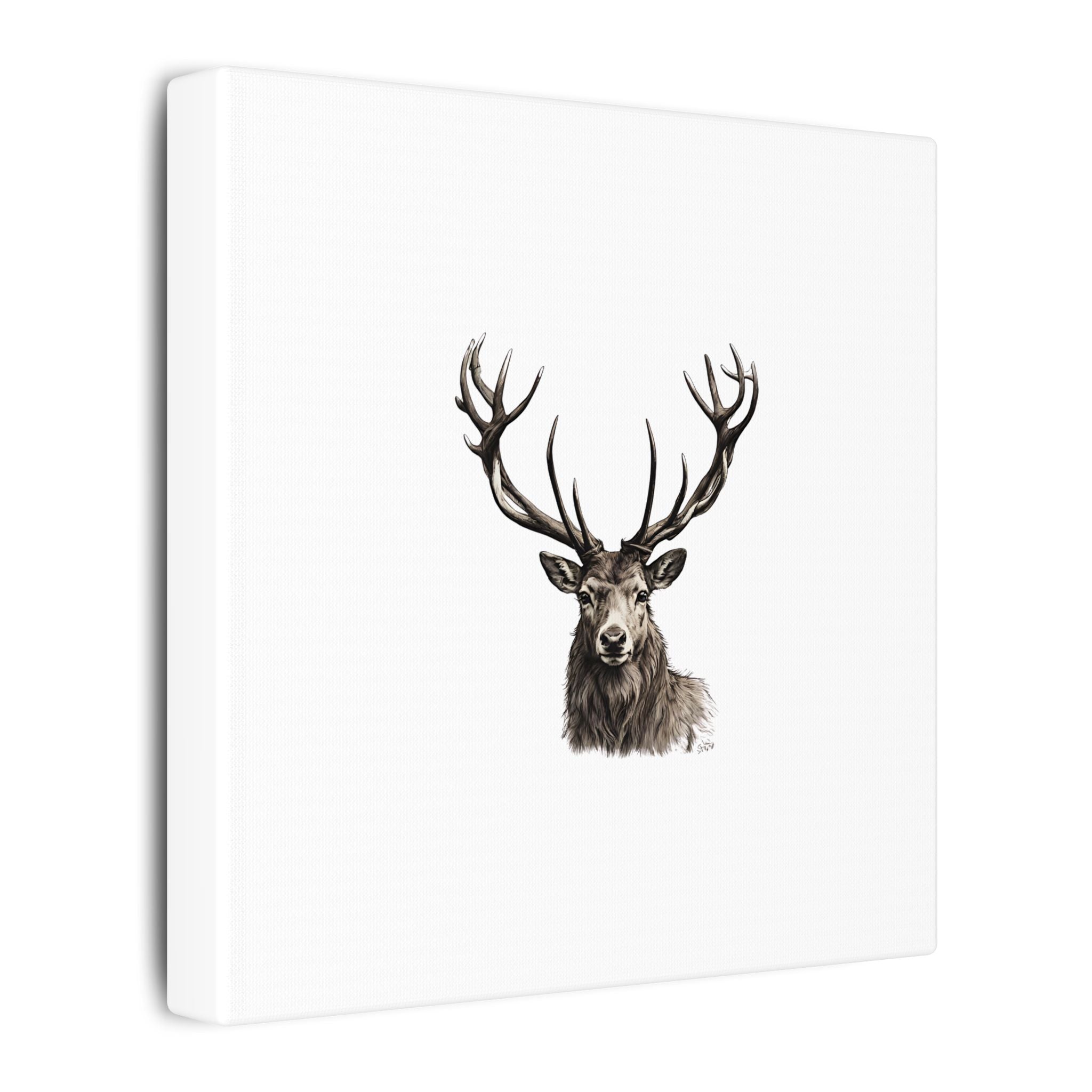 Stag Matte Canvas
