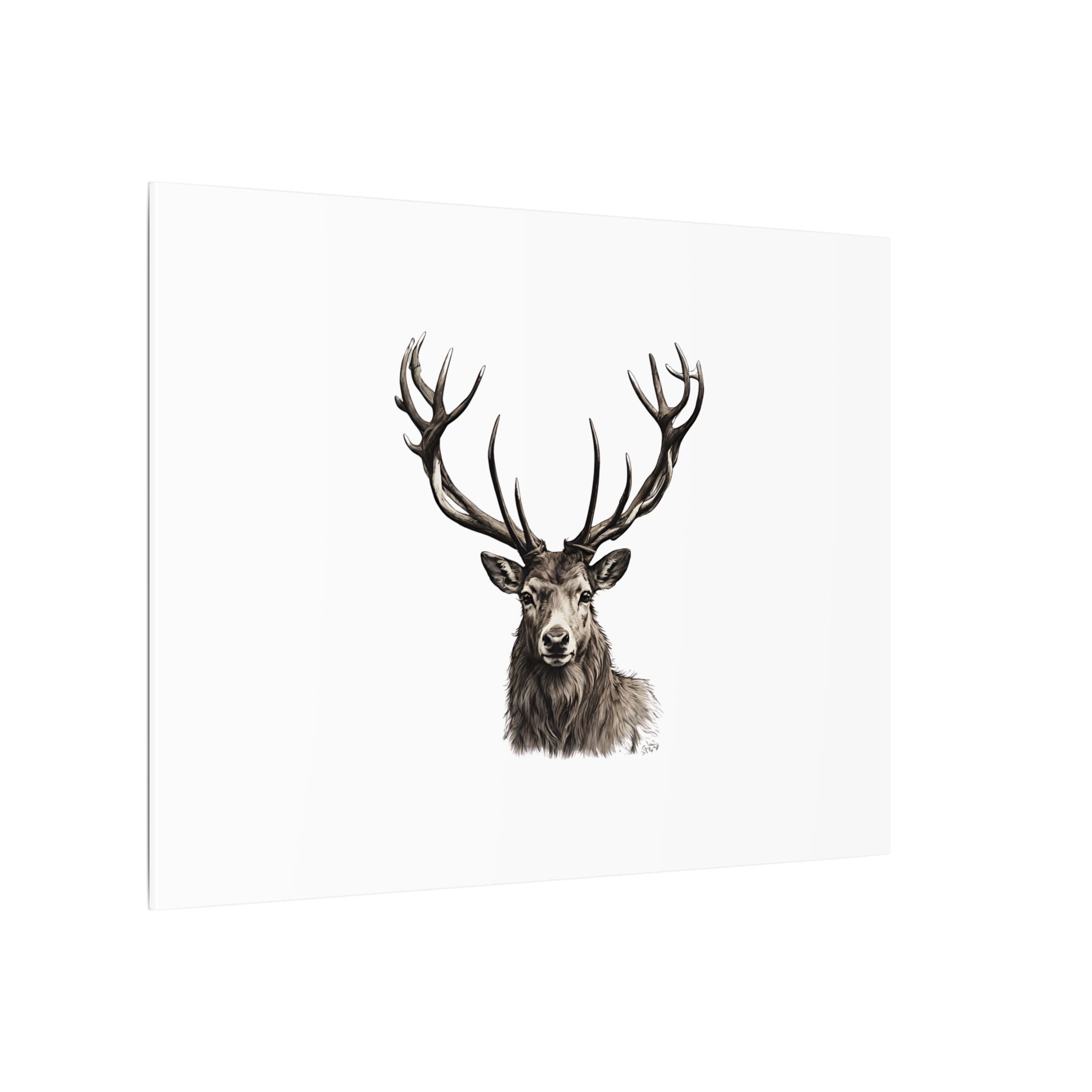 Stag Matte Canvas