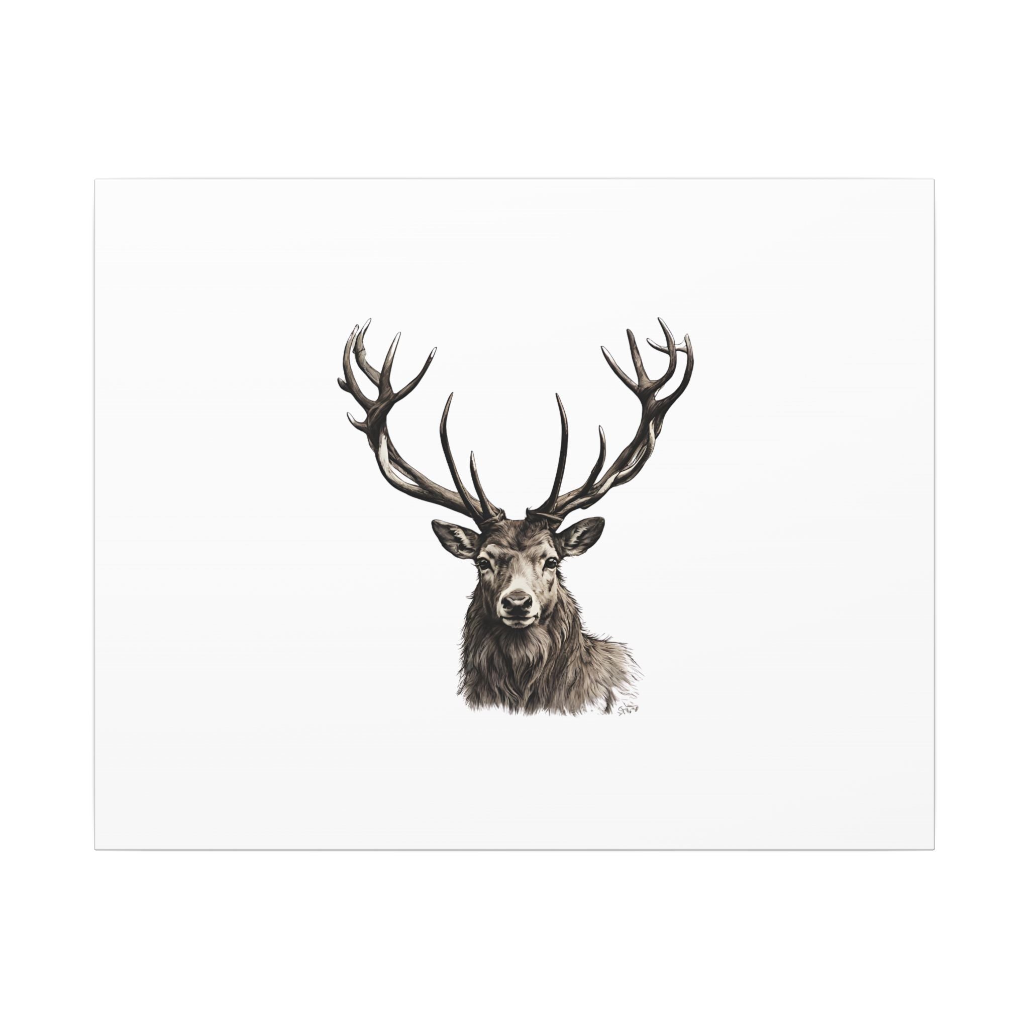 Stag Matte Canvas
