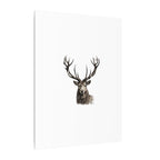 Stag Matte Canvas