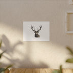 Stag Matte Canvas