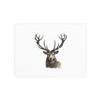 Stag Silk Poster