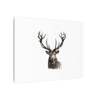 Stag Matte Canvas