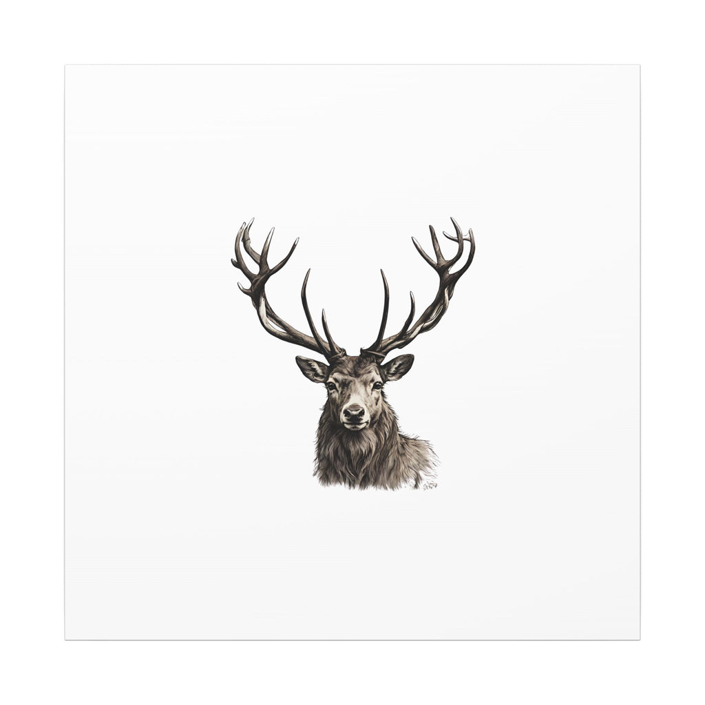 Stag Matte Canvas